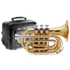 trompette de poche stagg ws-tr245s