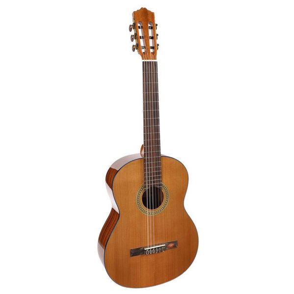 guitare salvador cortez cc10