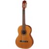 guitare classique salvador cortez cc10sn