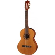 guitare classique salvador cortez cc10sn