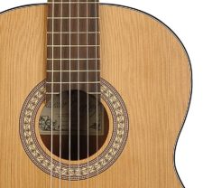 cc20
