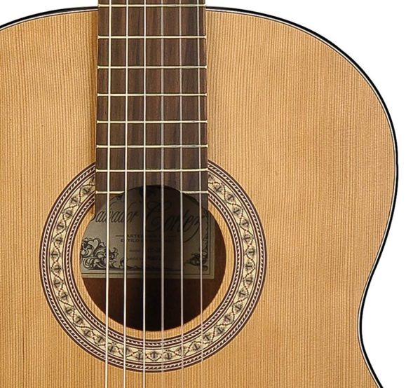 cc20