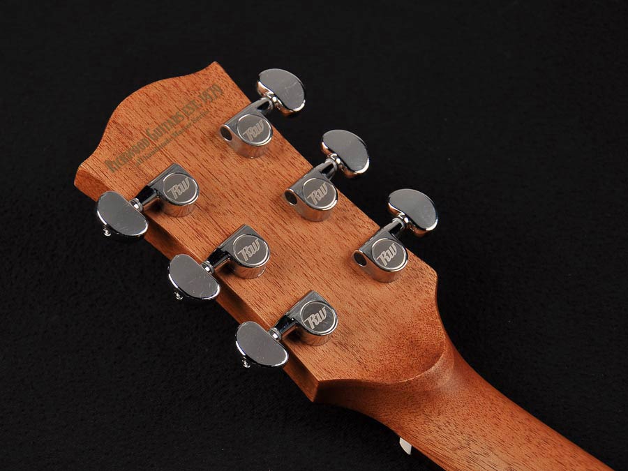 Richwood Semi Acoustic Guitare Électrique Artist Series avec Plectre, Accordeur /