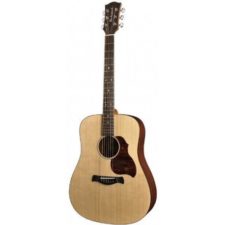 guitare folk richwood d20