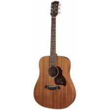 guitare folk richwood d50