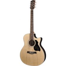 guitare folk richwood g60ce
