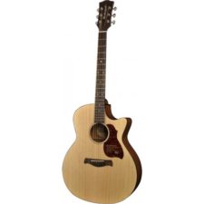 guitare folk richwood grand auditorium g20ce