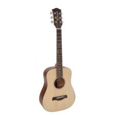 guitare jumbo richwood t20