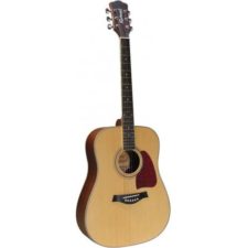 guitare dreadnough richwood rd16