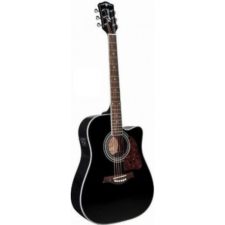 guitare dreadnought électro richwood rd17cebk