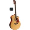 guitare jumbo richwood rj17ce