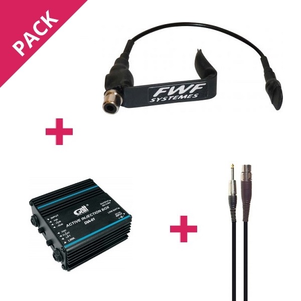 Pack Micro Instrument FWF MV1 boitier DIA01 cable MIC25