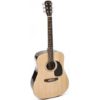 guitare folk grimshaw gsd60nt