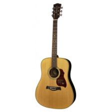 guitare folk richwood d65va