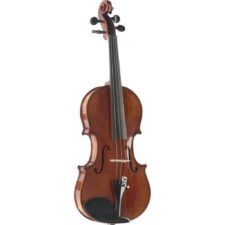 violon adulte stagg vnhg