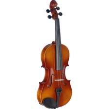 violon stagg adulte