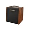 amplificateur guitare acoustique richwood rac-50