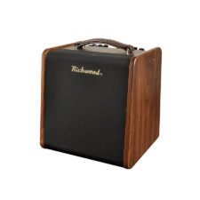 amplificateur guitare acoustique richwood rac-50