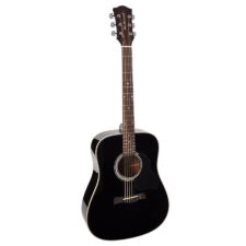 guitare folk richwood master série d40bk