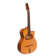 guitare manouche grande bouche richwood rm140nt