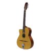 guitare manouche petite bouche richwood gaucher rm70lnt