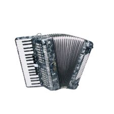 accordéon chromatique 80 basses serenelli y8037g