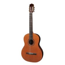 guitare classique salvador cortez cc32