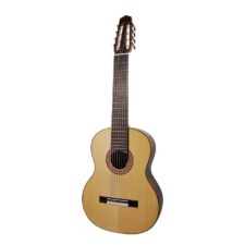 guitare salvador cortez 8 cordes cs608