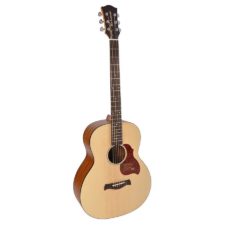 guitare baryton richwood master séries b20