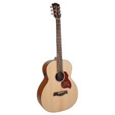 guitare baryton richwood master séries b20e