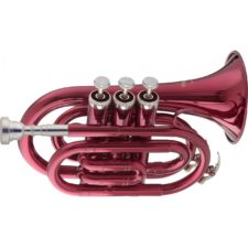 trompette de poche stagg ws-tr247s