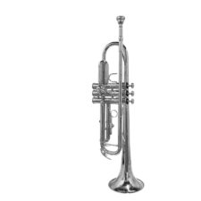 trompette sib stewart ellis se-1800s