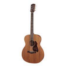 guitare richwood master series a50