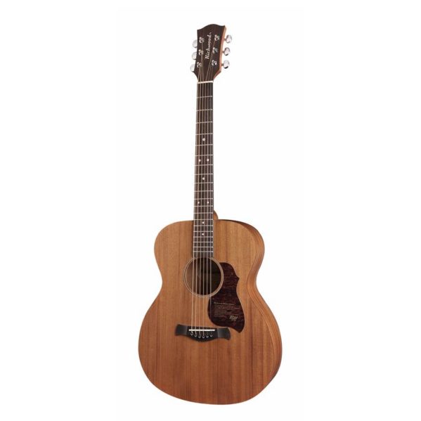 guitare richwood master series a50