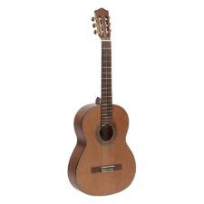 guitare salvador cortez cc06