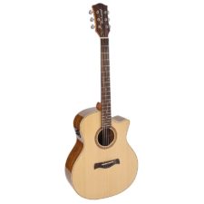 guitare folk master series richwood swg-130-ce