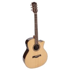 guitare folk master series richwood swg-150-ce