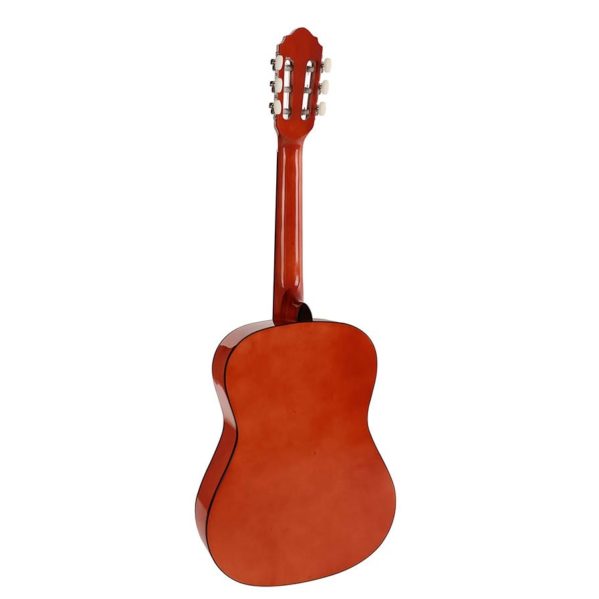 guitare salvador cortez cg-134nt