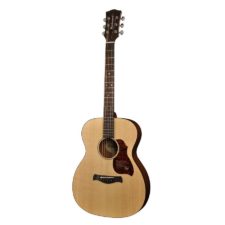 guitare folk électro acoustique richwood master series a-20e