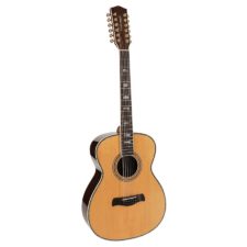 guitare richwood master series 12 cordes a-7010va