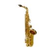 saxophone alto stewart ellis se-510-l