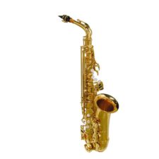 saxophone alto stewart ellis se-510-l