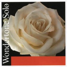 jeu de cordes pour violon pirastro wondertone solo p410021