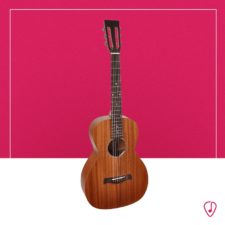 MI Richwood P50