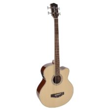 basse acoustique richwood rb-102ce