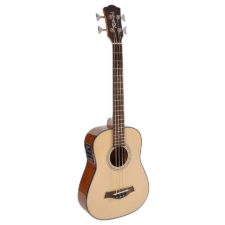 basse acoustique richwood rtb-80