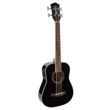 basse acoustique richwood rtb-80bk