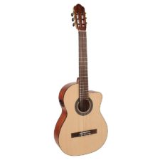 guitare salvador cortez cs-244ce