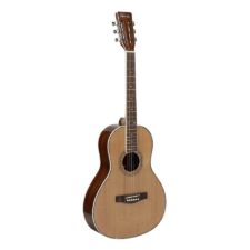 guitare blues rivhwood parlor rv-70-nt