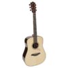 guitare mayson dreadnougnt dm9s